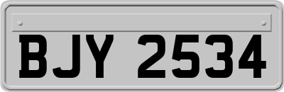 BJY2534