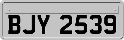 BJY2539