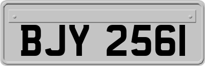 BJY2561
