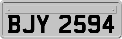 BJY2594