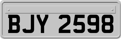 BJY2598