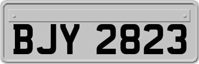 BJY2823