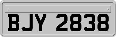 BJY2838