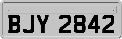 BJY2842
