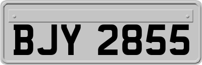 BJY2855