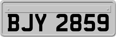 BJY2859