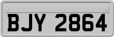 BJY2864