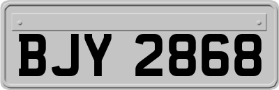 BJY2868