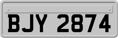 BJY2874