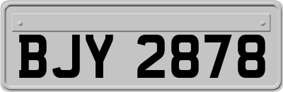 BJY2878
