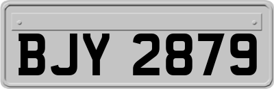 BJY2879