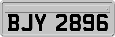BJY2896