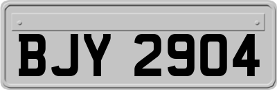 BJY2904