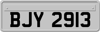 BJY2913