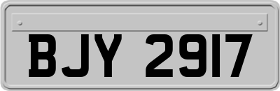 BJY2917