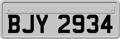 BJY2934