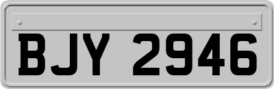 BJY2946