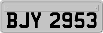 BJY2953