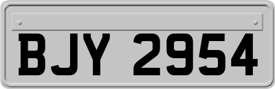 BJY2954