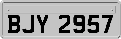 BJY2957
