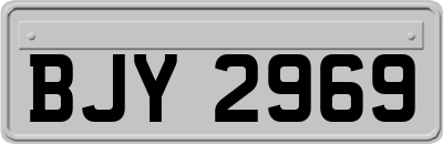 BJY2969