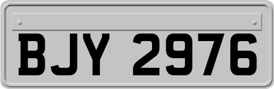BJY2976