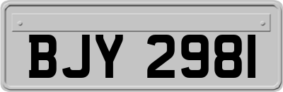 BJY2981