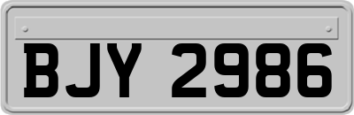 BJY2986