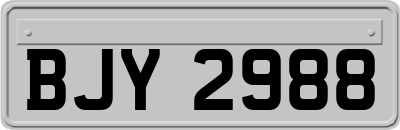BJY2988