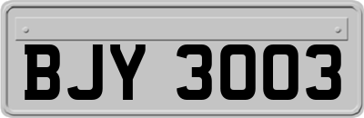 BJY3003