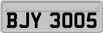 BJY3005