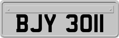 BJY3011