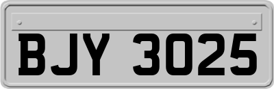 BJY3025
