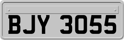 BJY3055