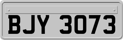 BJY3073