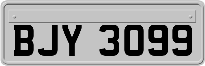 BJY3099