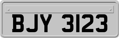 BJY3123