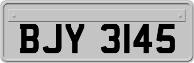 BJY3145