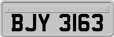 BJY3163