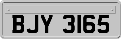 BJY3165