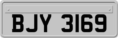 BJY3169