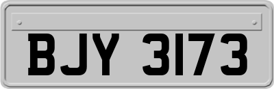 BJY3173