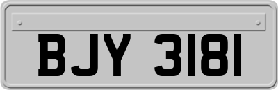 BJY3181