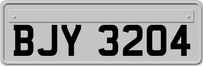 BJY3204