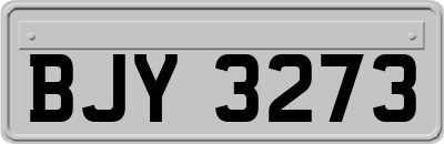 BJY3273