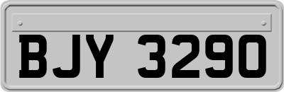 BJY3290