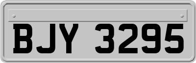 BJY3295