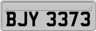 BJY3373