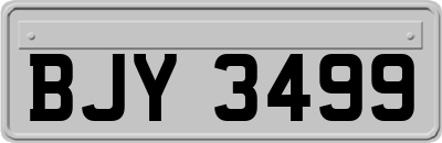 BJY3499