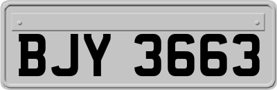 BJY3663